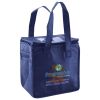 Lunch Tote  Insulated Thumbnail