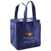 Lunch Tote  Insulated Thumbnail