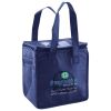 Lunch Tote  Insulated Thumbnail