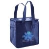 Lunch Tote  Insulated Thumbnail