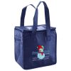 Lunch Tote  Insulated Thumbnail