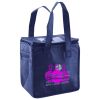 Lunch Tote  Insulated Thumbnail