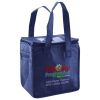 Lunch Tote  Insulated Thumbnail