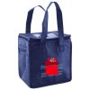 Lunch Tote  Insulated Thumbnail