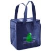 Lunch Tote  Insulated Thumbnail