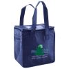 Lunch Tote  Insulated Thumbnail