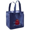 Lunch Tote  Insulated Thumbnail
