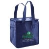 Lunch Tote  Insulated Thumbnail
