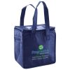 Lunch Tote  Insulated Thumbnail