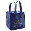Lunch Tote  Insulated Thumbnail