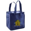 Lunch Tote  Insulated Thumbnail