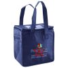 Lunch Tote  Insulated Thumbnail