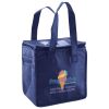 Lunch Tote  Insulated Thumbnail