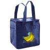 Lunch Tote  Insulated Thumbnail