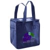 Lunch Tote  Insulated Thumbnail