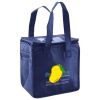 Lunch Tote  Insulated Thumbnail