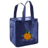 Lunch Tote  Insulated Thumbnail