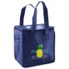 Lunch Tote  Insulated Thumbnail