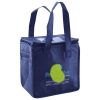 Lunch Tote  Insulated Thumbnail