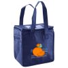 Lunch Tote  Insulated Thumbnail