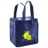 Lunch Tote  Insulated Thumbnail