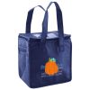 Lunch Tote  Insulated Thumbnail