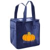 Lunch Tote  Insulated Thumbnail
