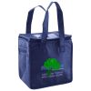 Lunch Tote  Insulated Thumbnail