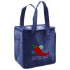 Lunch Tote  Insulated Thumbnail