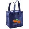 Lunch Tote  Insulated Thumbnail