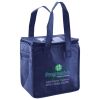 Lunch Tote  Insulated Thumbnail