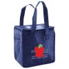 Lunch Tote  Insulated Thumbnail
