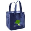 Lunch Tote  Insulated Thumbnail