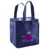 Lunch Tote  Insulated Thumbnail