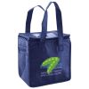 Lunch Tote  Insulated Thumbnail