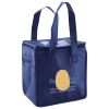 Lunch Tote  Insulated Thumbnail