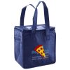Lunch Tote  Insulated Thumbnail