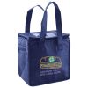 Lunch Tote  Insulated Thumbnail
