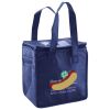 Lunch Tote  Insulated Thumbnail