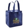 Lunch Tote  Insulated Thumbnail