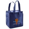 Lunch Tote  Insulated Thumbnail