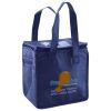 Lunch Tote  Insulated Thumbnail