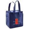 Lunch Tote  Insulated Thumbnail