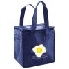 Lunch Tote  Insulated Thumbnail