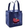 Lunch Tote  Insulated Thumbnail