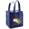 Lunch Tote  Insulated Thumbnail