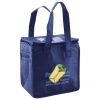 Lunch Tote  Insulated Thumbnail