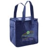 Lunch Tote  Insulated Thumbnail