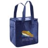Lunch Tote  Insulated Thumbnail
