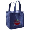 Lunch Tote  Insulated Thumbnail
